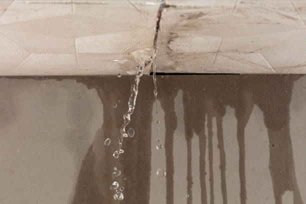 Professional Water Damage Repair technician working in McKinney, TX